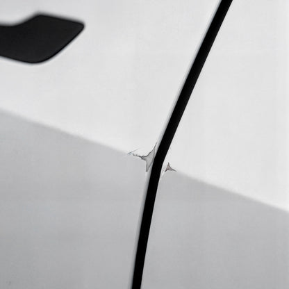 ACP10400 - Garage Wall Protector | WP100ㅍ showing the vehicle with the paint scuffing